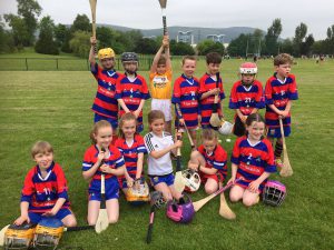 Bríd Óg P3s and P4s at Mugrave Park Go Games 4th June 2016 